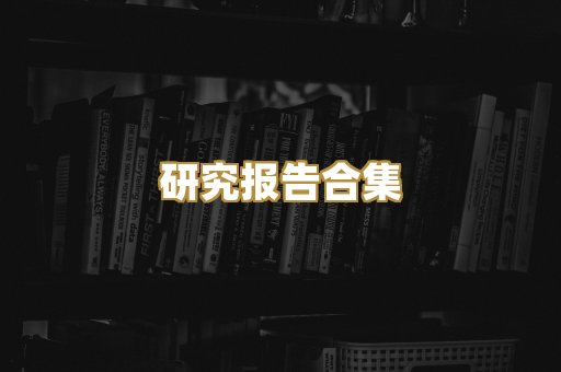 研究报告合集